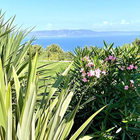 Luxury Panorama Vila With Amazing Seaview In Gondolici 7 Km From Rabac ラビン エクステリア 写真