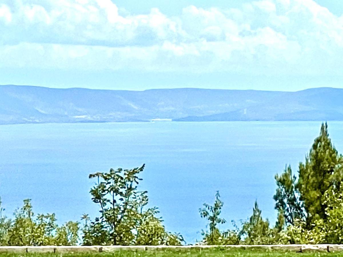 Luxury Panorama Vila With Amazing Seaview In Gondolici 7 Km From Rabac ラビン エクステリア 写真